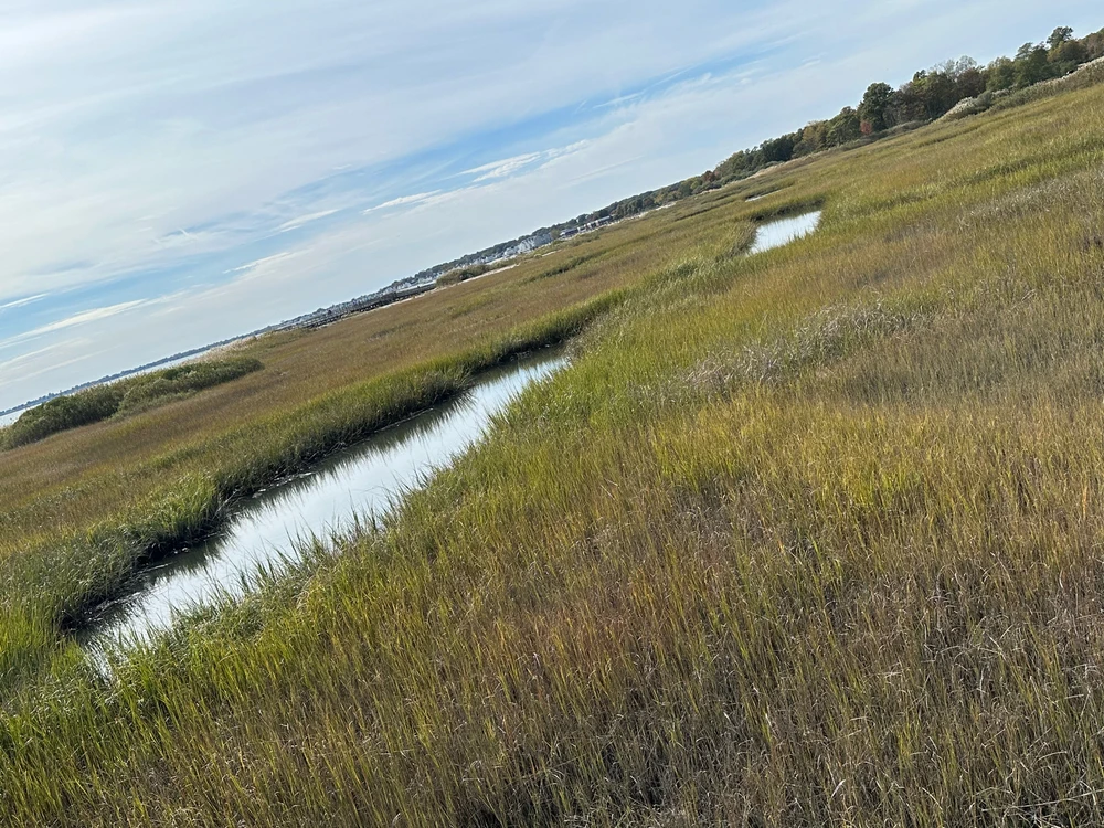 Last Beach Trip of the Year