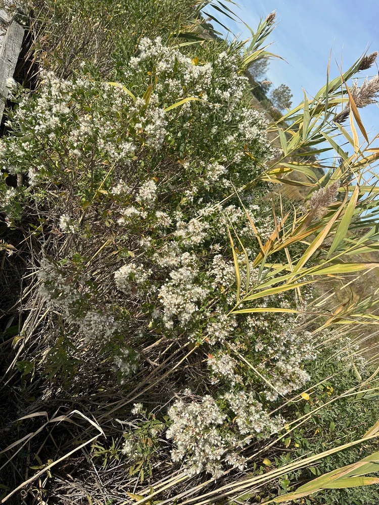 Last Beach Trip of the Year