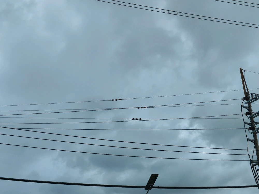 GIF uploaded by Jessamin