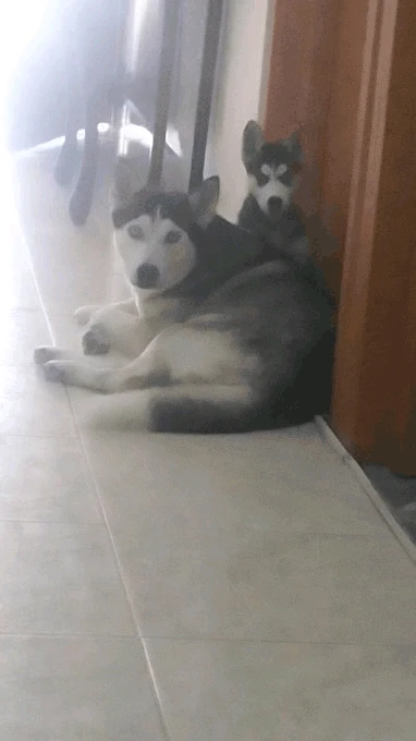 time has passed so fast