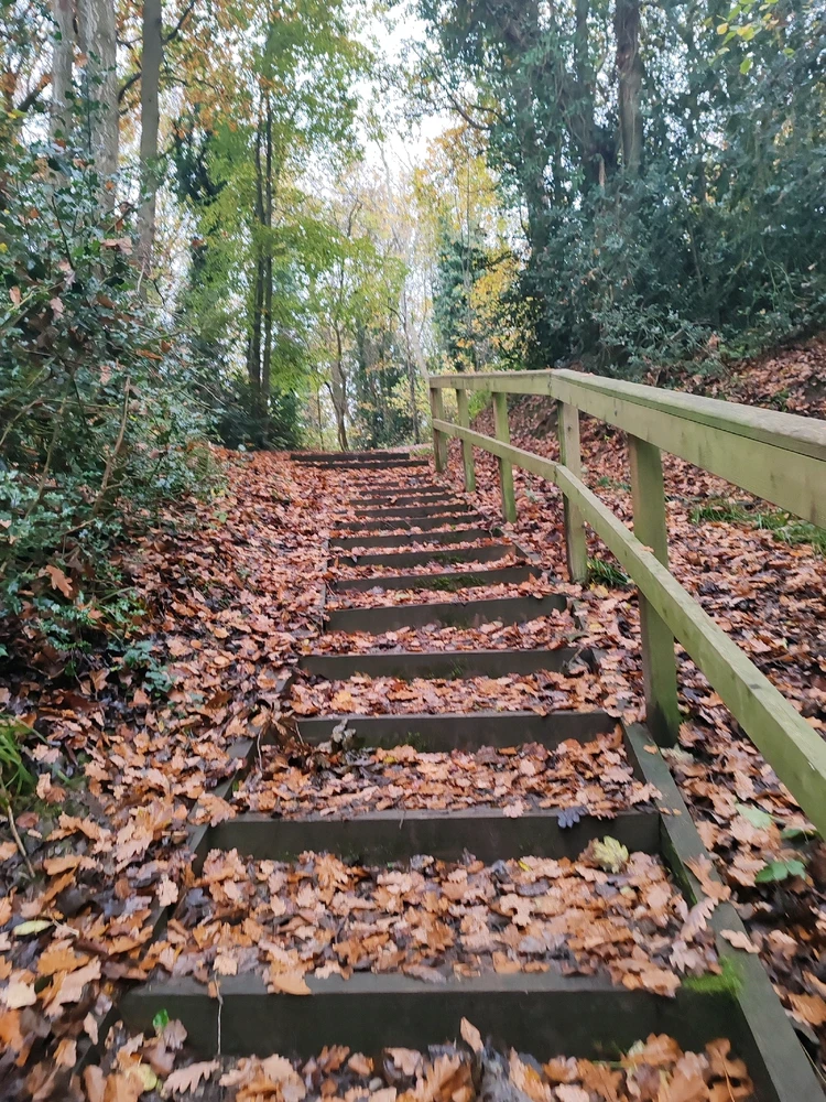 Image uploaded by Shannon