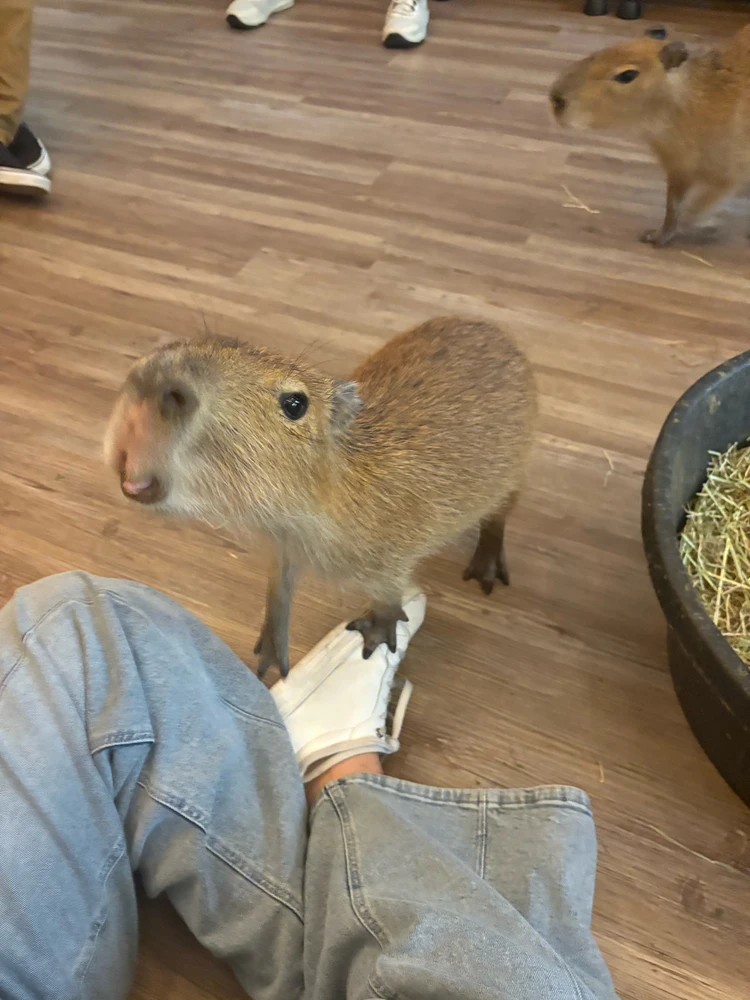 GIF uploaded by Marielle