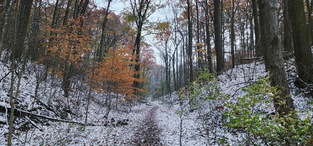 Got some shots as the sun was going down. Wish I got out earlier :)