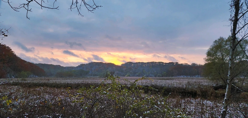Got some shots as the sun was going down. Wish I got out earlier :)