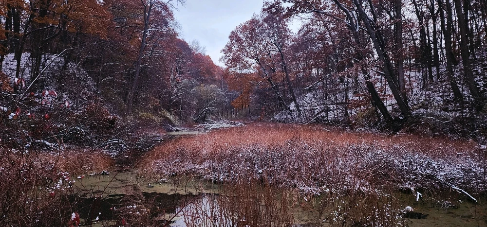 Got some shots as the sun was going down. Wish I got out earlier :)