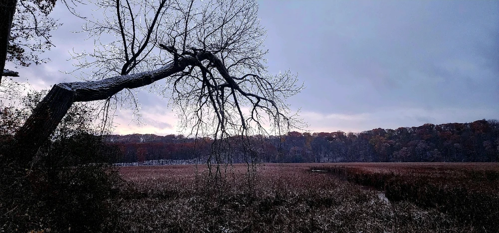 Got some shots as the sun was going down. Wish I got out earlier :)