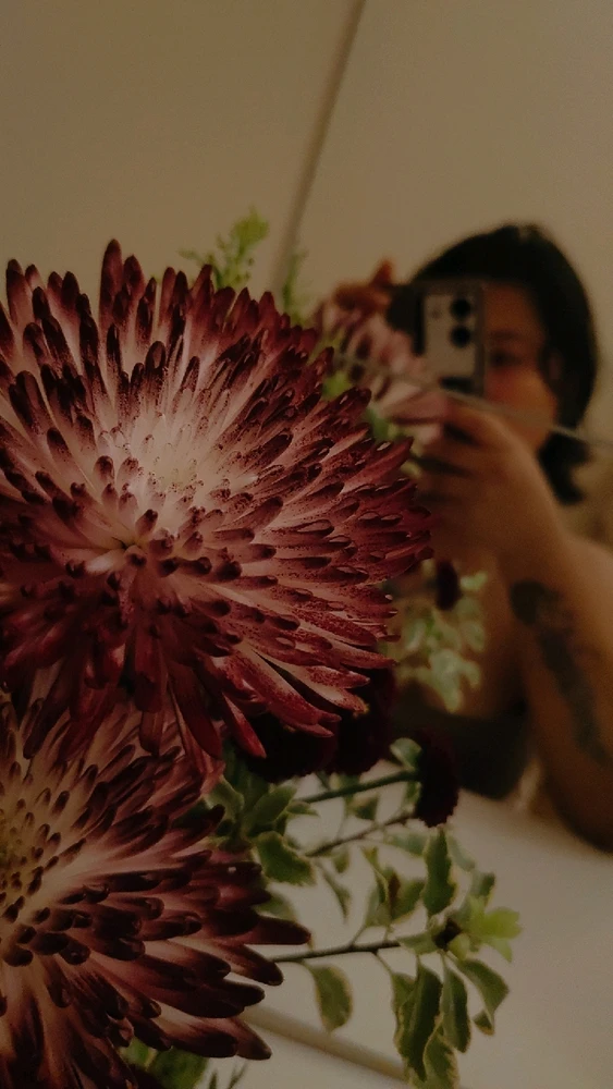 GIF uploaded by ana_