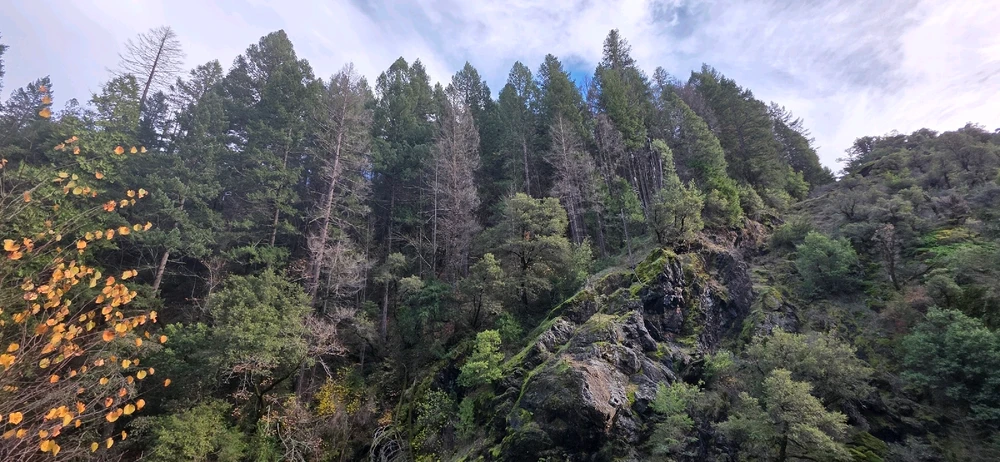 Image uploaded by Someone