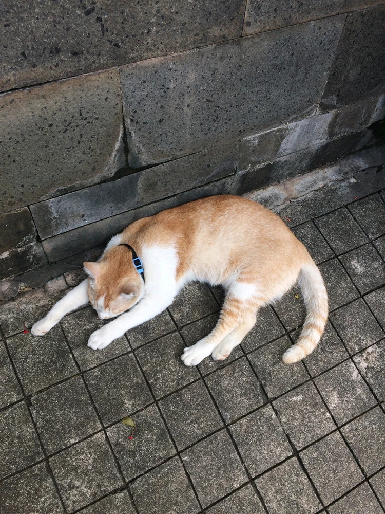 GIF diunggah oleh Tri Setia