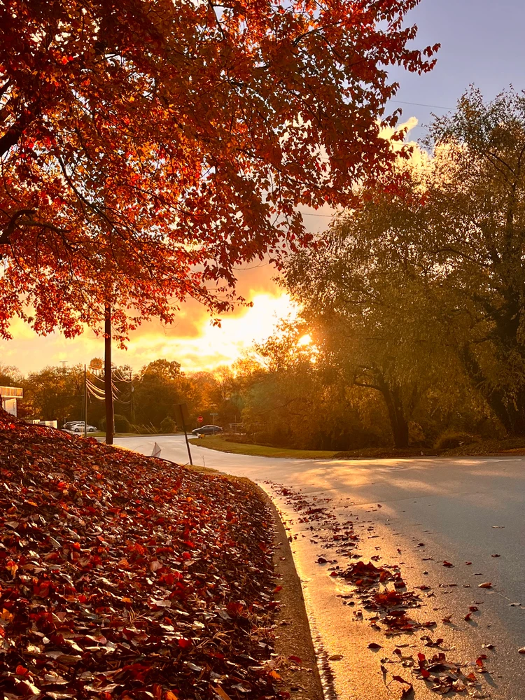 I’m proud of this shot