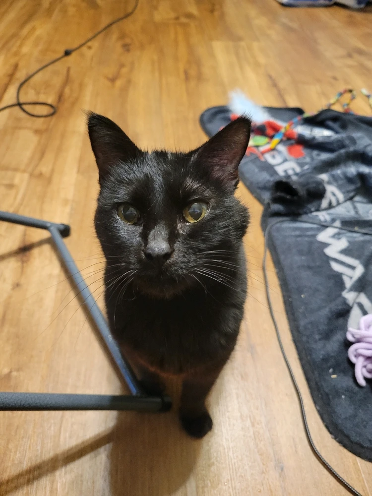 Caving in as normal...