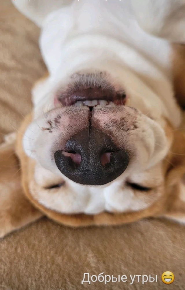 GIF загрузил Катерина