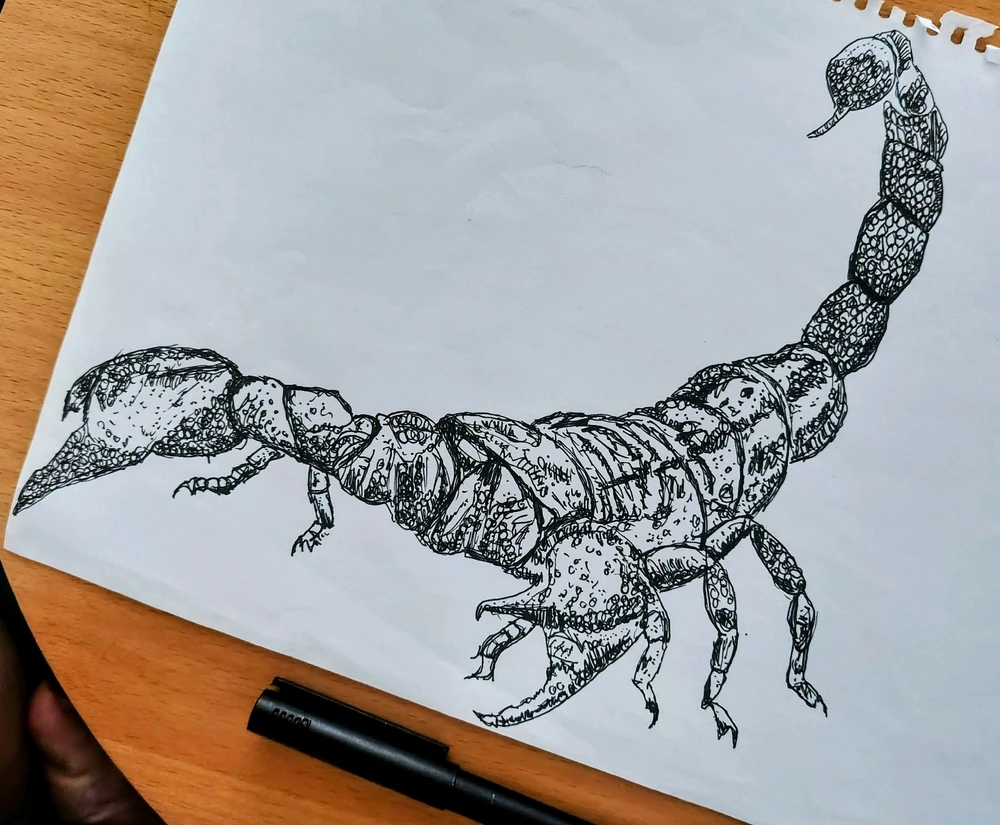 GIF uploaded by Mika