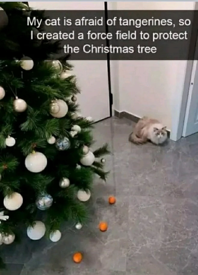 GIF hochgeladen von Marron