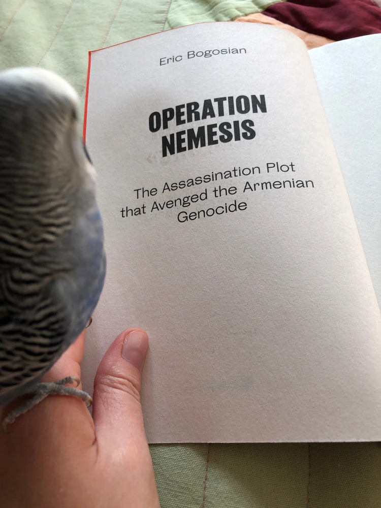 GIF uploaded by Evgenia