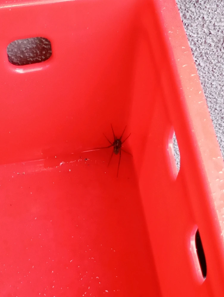 GIF dodany przez Krisduboo(Krystian)