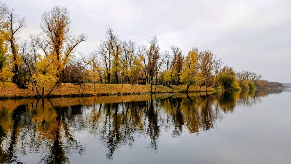 The Moment of Peace 🌬🍂