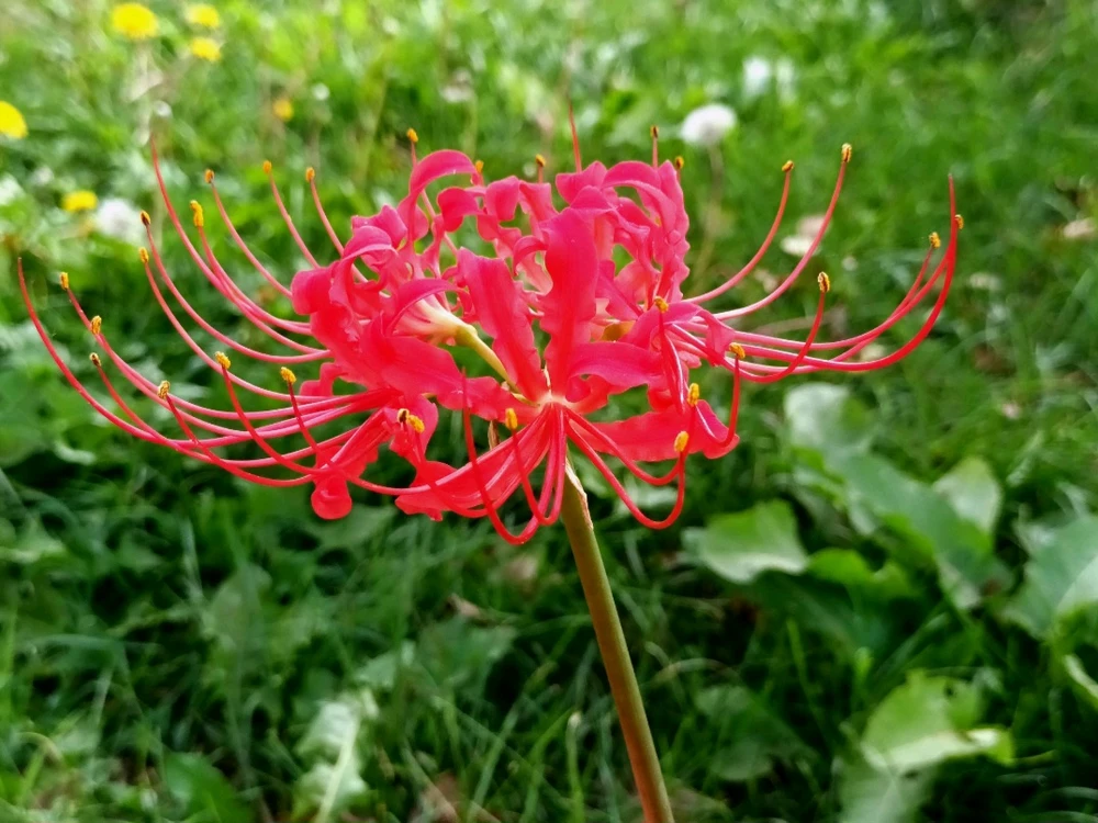 GIF caricata da Massimo