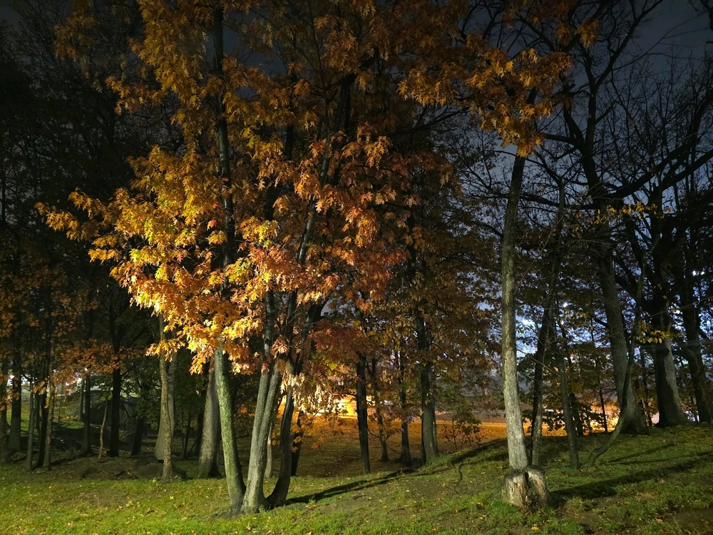 Image uploaded by Joshua