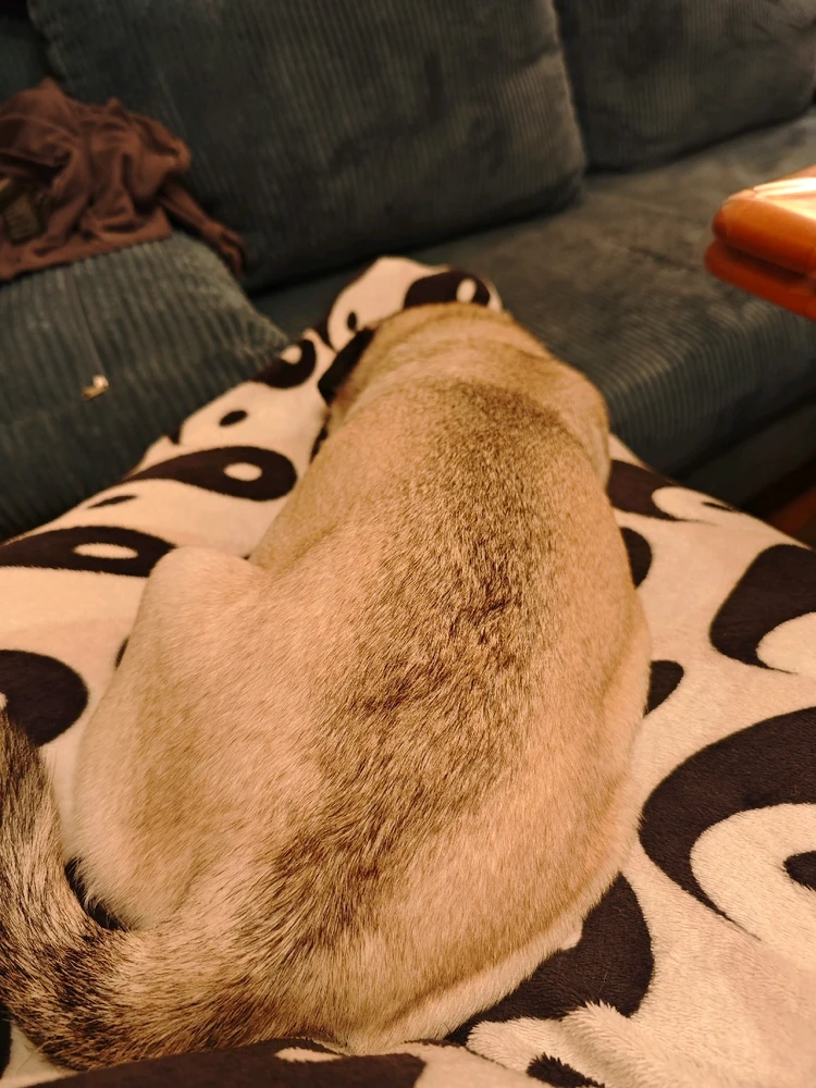 Müde vom Nichts tun