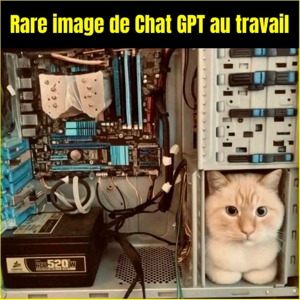 Au moins, il y en a un qui bosse ! 🤣