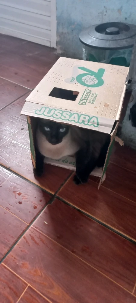 GIF enviado por Vanderlei