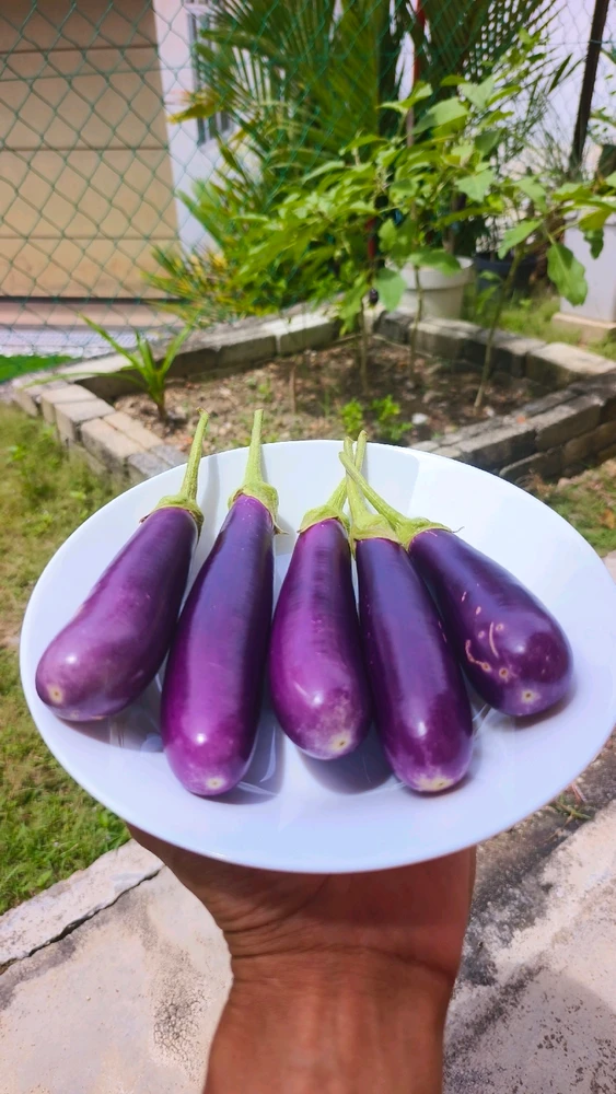 Image uploaded by Zach