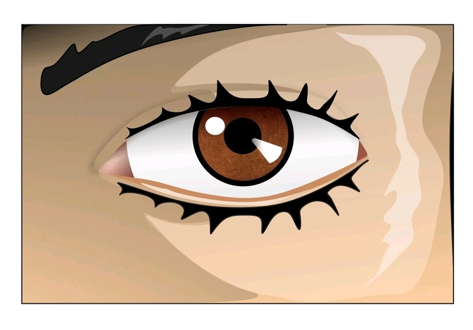 Luces y sombras finales