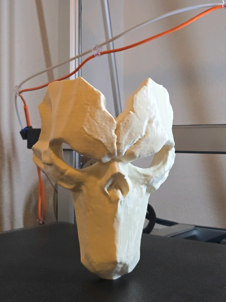 Image uploaded by Matthew