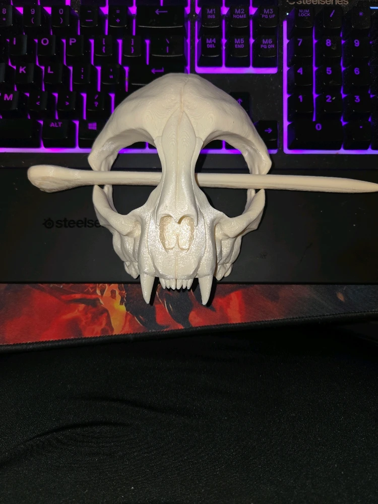 Image uploaded by Matthew