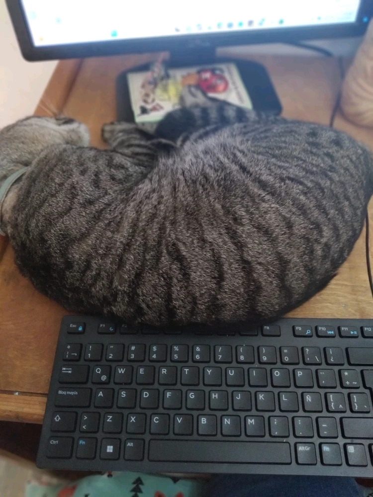 Seriously, the keyboard is almost at the edge. But he doesn't care.