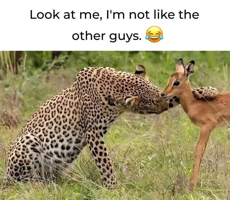 Pov: true friends π«