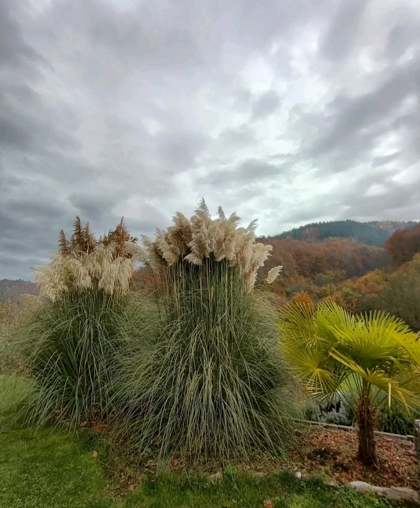L'importance c'est de bien choisir avec qui vieillir