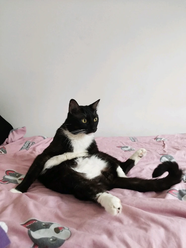 Chillout 100% π€π»