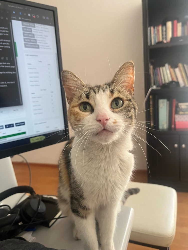Stop working human :)