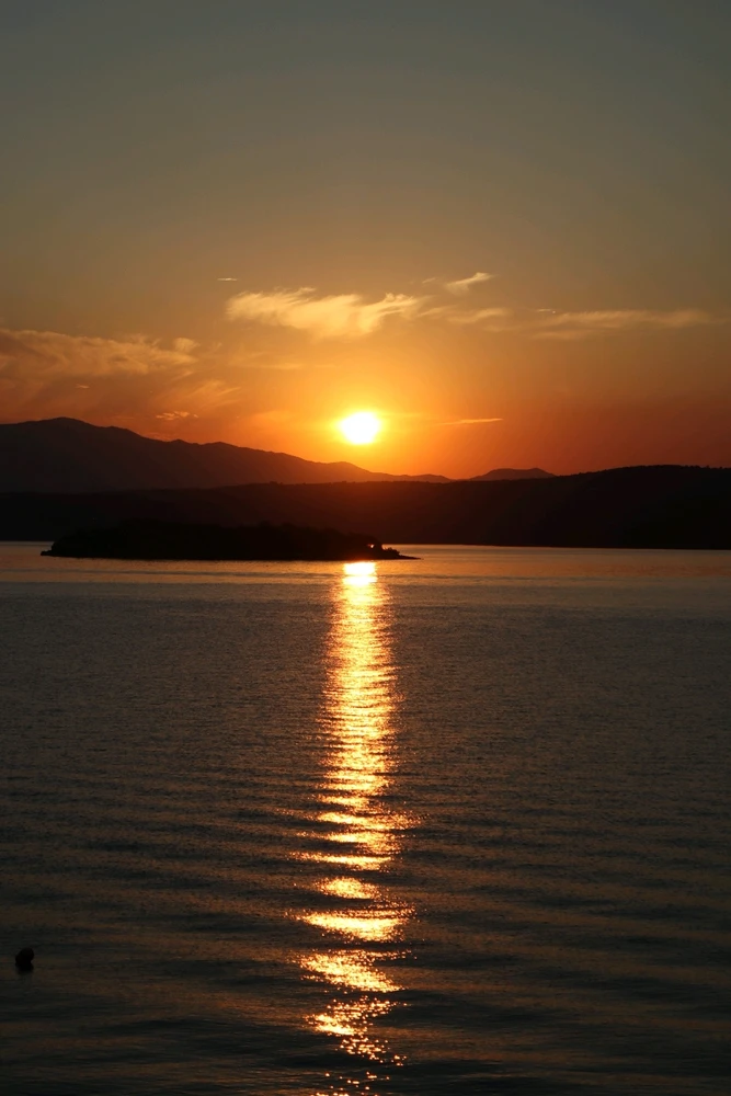 Some of my best shots yet...