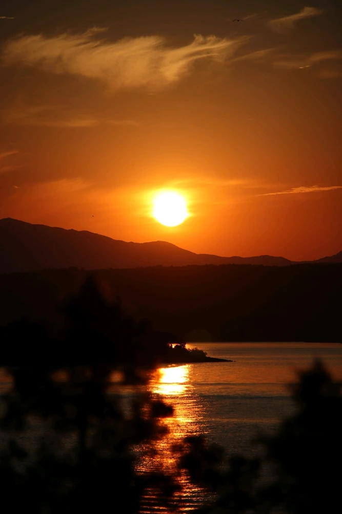 Some of my best shots yet...