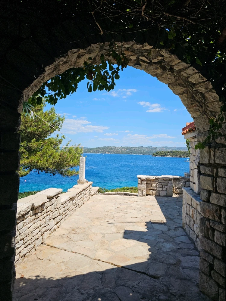 Some of my best shots yet...