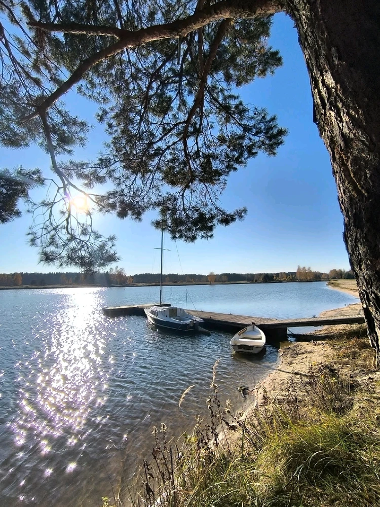 Did you watch a movie named..