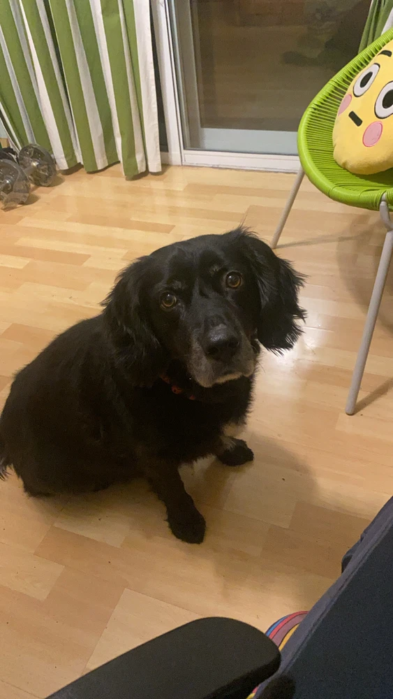 GIF subido por Albert