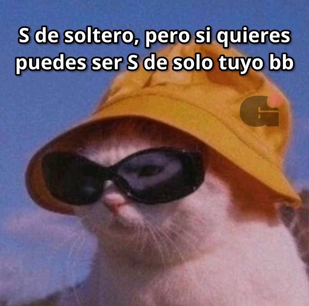 Para que lo tomes en cuenta...