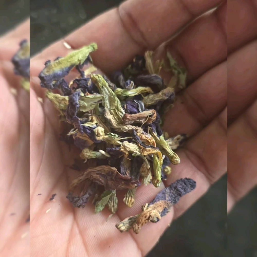 Quick Shake No. 315-25