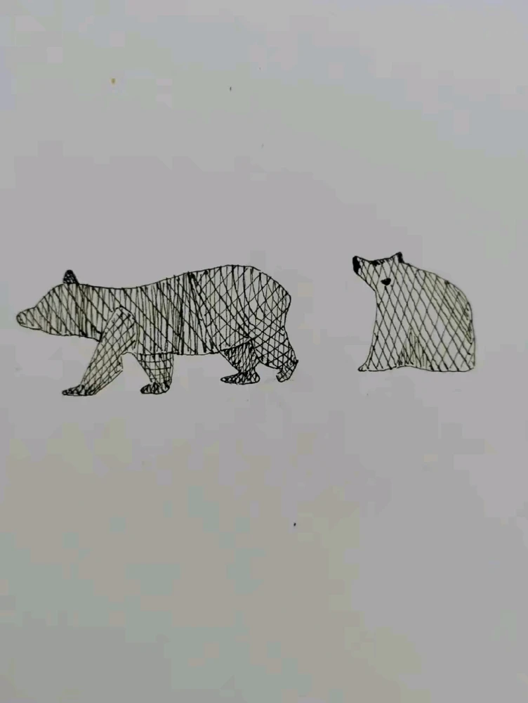 Bears