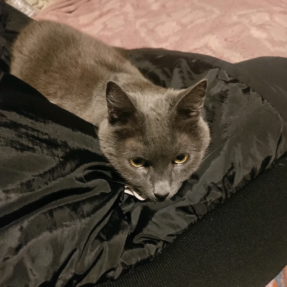 This squatter is fast.