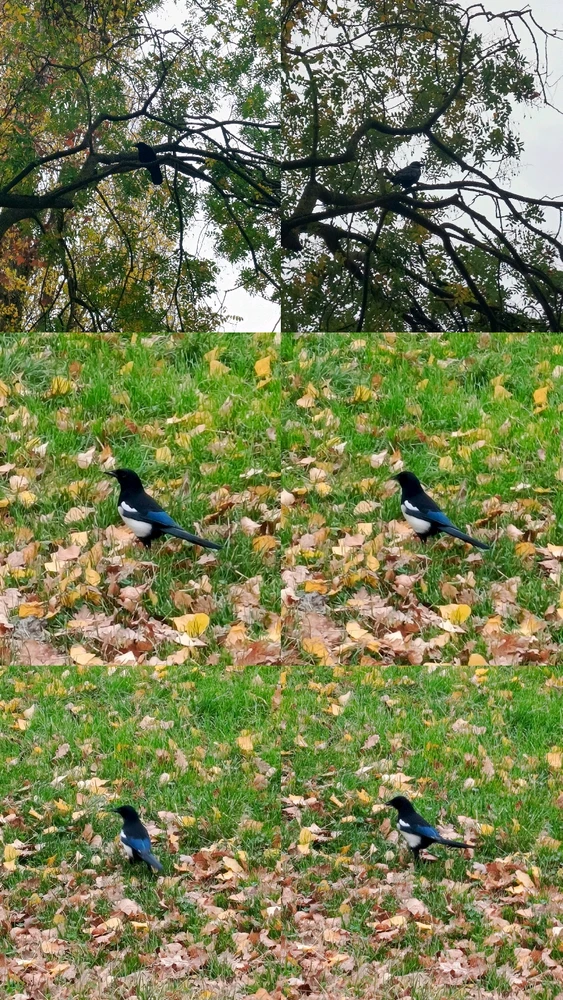 Image uploaded by Bahaa