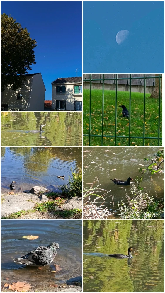 Image uploaded by Bahaa