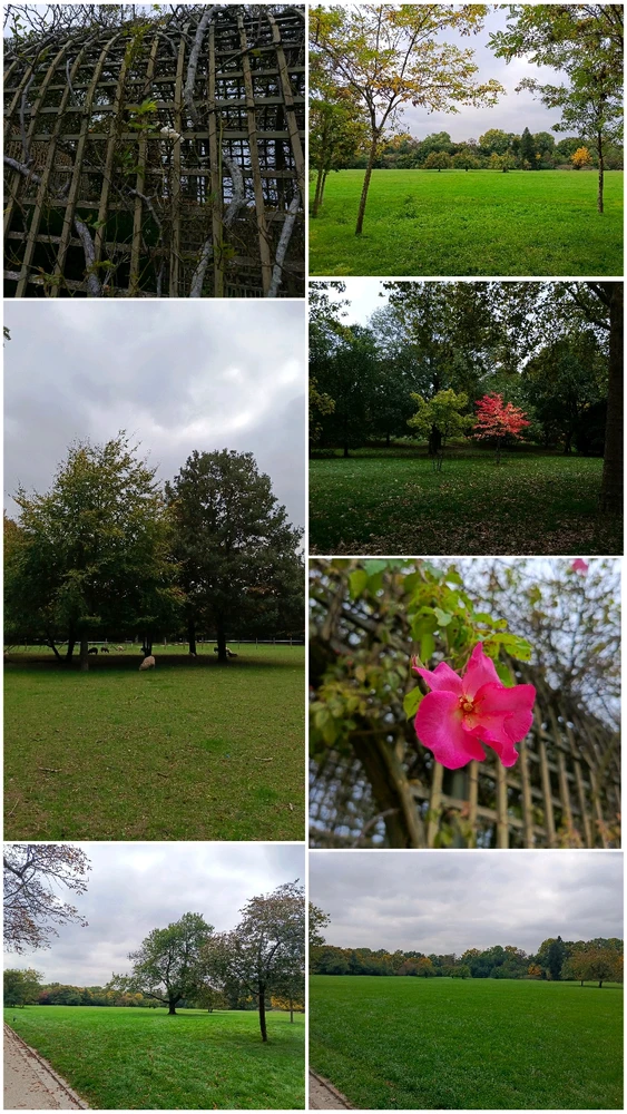 Image uploaded by Bahaa