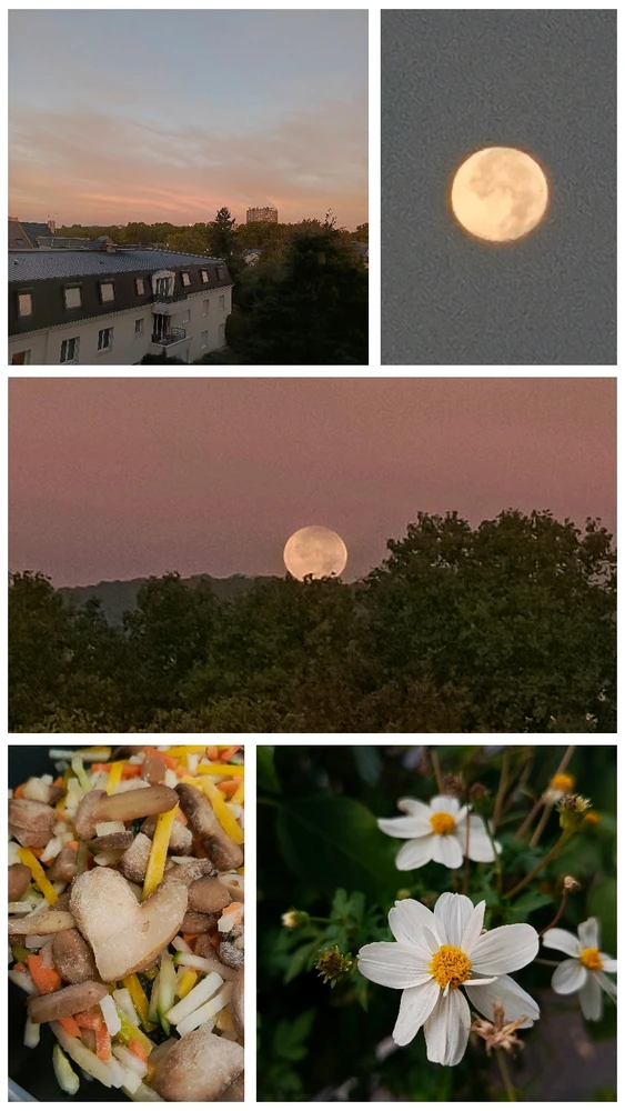 Image uploaded by Bahaa