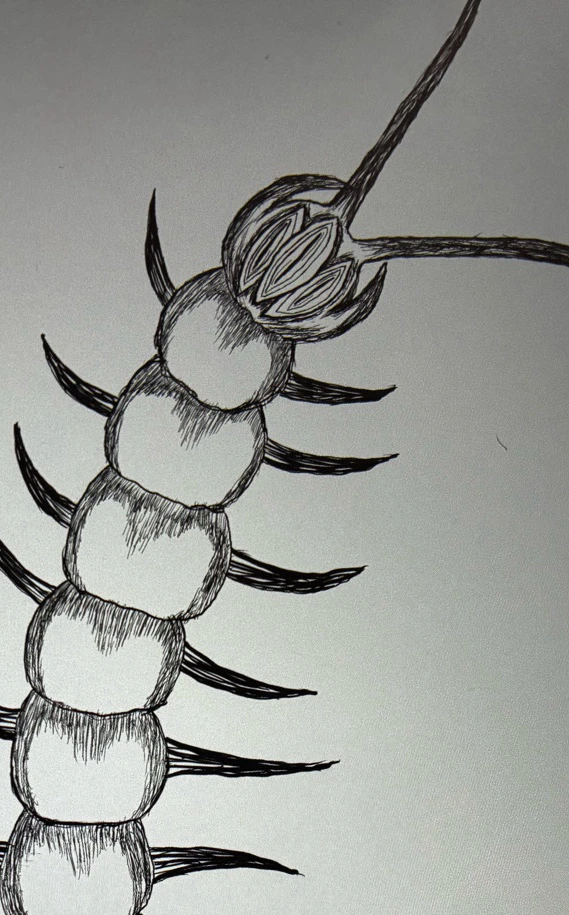 something cute i am working on