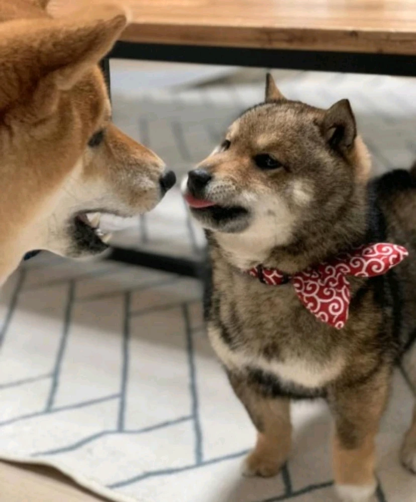 GIF uploaded by Catherine